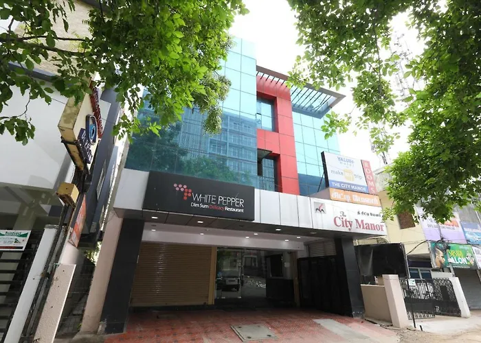 Oyo 15963 City Manor Chennai
